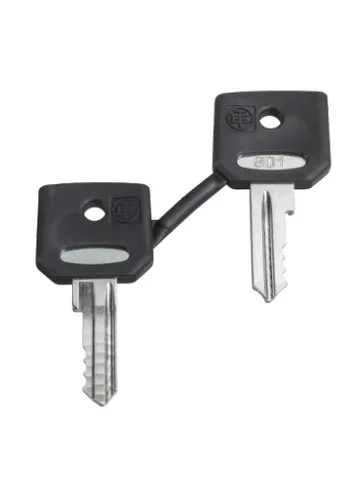 Schneider Electric ZBG421E Ersatzschlüssel 1St. - Robuster Schlüssel für Befehls- und Meldegeräte, hohe Sicherheit und einfache Montage