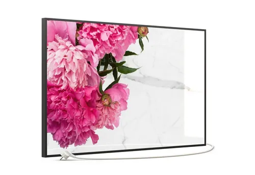STEINFELD Heizsysteme Infrarotheizung, Glas Bild 350W-1200W, Inklusive Thermostat, 013 Pfingstrose