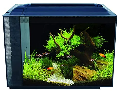 Fluval Spec XV Aquarium 60L von Fluval