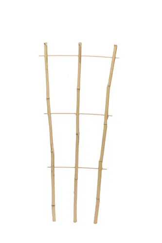 Produktbild Pflanzgitter Bambus floraworld 32x75cm