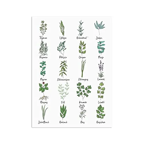 Nastami Postkarte Küchenkräuter Grußkarte Kräuter von Nastami