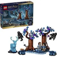 LEGO® Harry Potter 76475