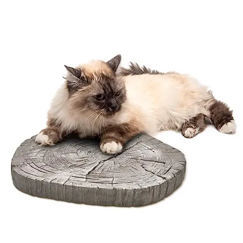 STONETEC Trittsteine Baumscheibe für Garten und Gehwege - 4 Trittplatten im Set - große Gartenplatten aus Beton Stein je Ø 30 cm