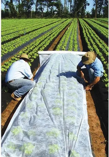 Gartenvlies Schutzvlies Pflanzvlies zur Abdeckung von Gemüsebeeten weiß ca. 17 g/m² 2,1 x 10m