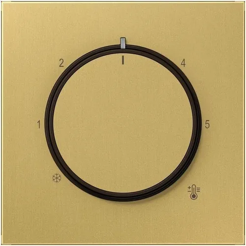 Jung Abdeckung für Thermostat (Messing Classic)