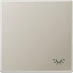 Jung ES2990L Wippe, Symbol Licht, Serie LS, Edelstahl in silber von Jung