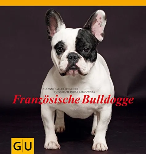 Französische Bulldogge (Hunde & Katzen)
