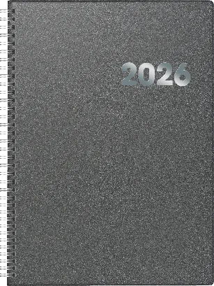 BRUNNEN Buchkalender 2026 - A4 grau - Kalender für 2026, ideal zur Planung von bis zu 6 Bereichen mit viertelstündlicher Einteilung. Hochwertiger Kunststoff-Einband und praktische Notizseiten.