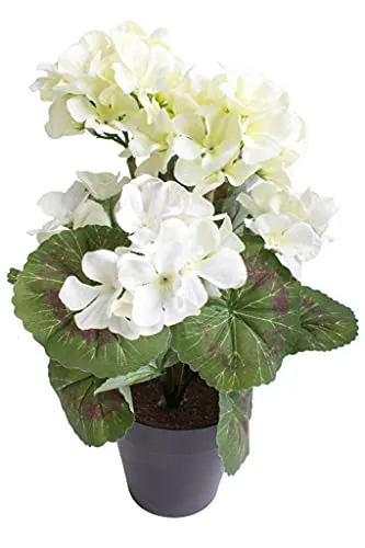 Botanic-Haus künstliche Geranie (Geranienbusch) mit 5 Blütenköpfen im schwarzen Kunststofftopf (Creme-weiß)