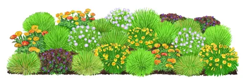 Dehner Staude Bo Stauden-Set Sommerglück, 24 Pflanzen für Ihren Garten - Verwandeln Sie Ihr Beet in ein Blütenmeer: Das 24-teilige Stauden-Set Sommerglück bietet robuste Pflanzen für sonnige bis halbschattige Standorte. Genießen Sie blühende Vielfalt von Mai bis Oktober und locken Sie Bienen und Hummeln in Ihren Garten!