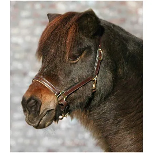 WALDHAUSEN Star Lederhalfter Diamond