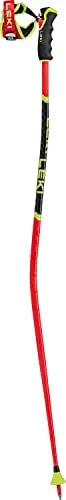 Skistock Leki 2024/25 WCR TBS GS 3D 125cm