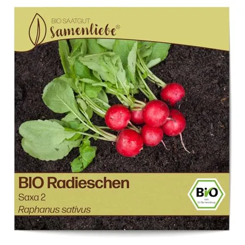 Samenliebe BIO Radieschen Samen Saxa 2 mildes Radies rundes Sommerradieschen rot 200 Samen samenfestes Gemüse Saatgut für Gewächshaus Freiland und Balkon BIO Gemüsesamen