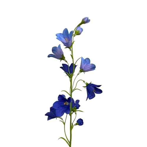 Kunstblumen von Floratexx