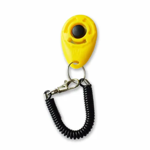Klicker Training Hund Katze - Klickertraining für Hunde und Katzen