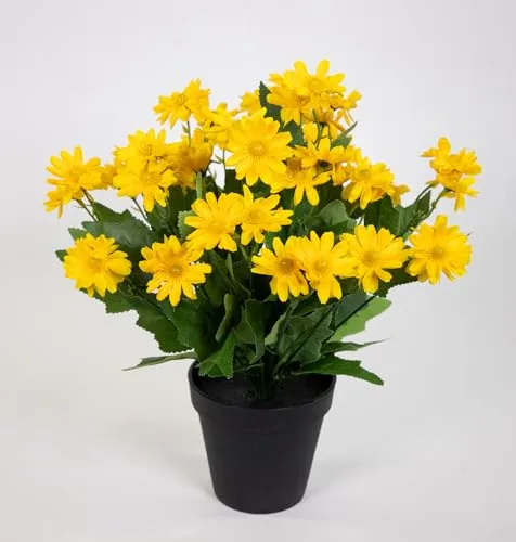 Kunstpflanzen von Seidenblumen Roß