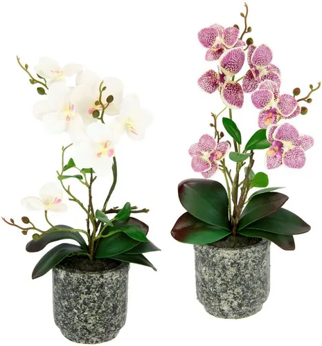 Kunstpflanze Orchidee, OTTO home, Höhe 38 cm, Mit Blättern und Luftwurzeln, im Topf aus Keramik, 2er Set