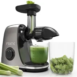 Fentic Slowjuicer