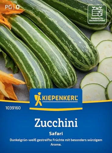 Kiepenkerl Zucchinisamen Safari 1039160 für 5 Pflanzen von Kiepenkerl