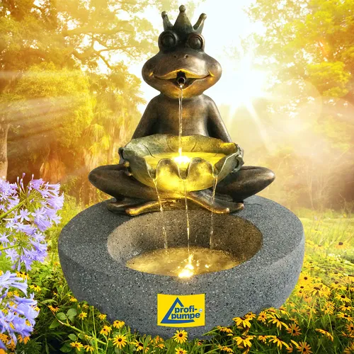 Gartenbrunnen Frosch-Prinz mit LED-Licht