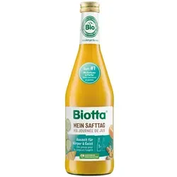 BIOTTA Mein Safttag 1 Mango-Gurke Saft 500 ml