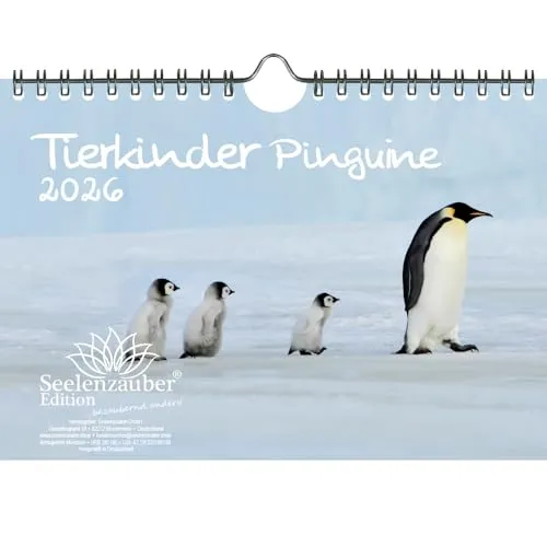Tierkinder Pinguine DIN A5 Kalender für 2026 Pinguin - Seelenzauber