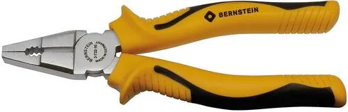 BERNSTEIN Zangen von BERNSTEIN