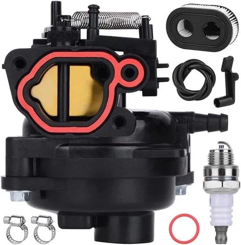 Carburateur für Briggs & Stratton 799584 592361 591109