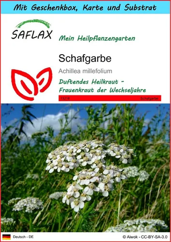 SAFLAX Blumensamen SAFLAX - Geschenkset - Schafgarbe