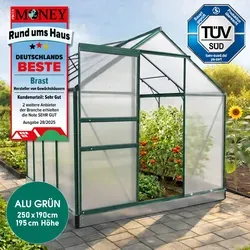 Aluminium Gewächshaus 250x190x195 grün