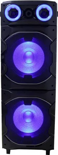 Reflexion Party Lautsprecher – Einzeln - Leistungsstarker Party Lautsprecher für unvergessliche Events, mit kraftvollem Sound und flexibler Nutzung für jede Feier.