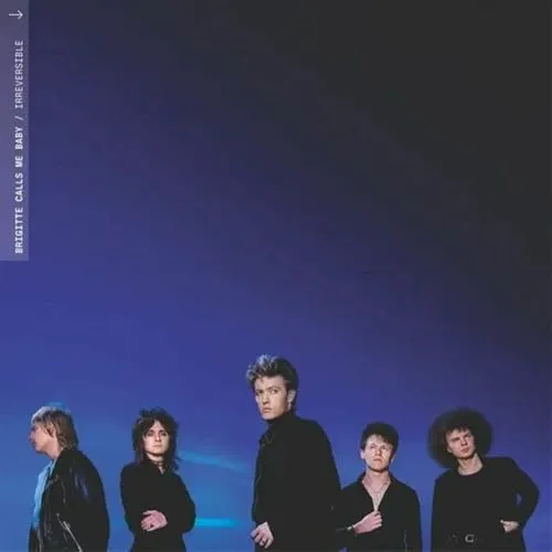 Produktbild Irreversible [Vinyl LP]