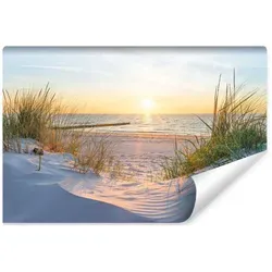 Muralo Fototapete, Blau, Grün, Beige, Papier, Wasser/Strand/Meer, Baum/Pflanze/Natur, Sonne/Sonnenaufgang/Sonnenuntergang, Rechteckig, 368x254 cm, Tapeten & Wandverkleidungen, Fototapeten