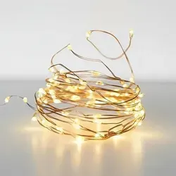 1.10 Silver Wire Lights 320 LED - Draht Lichterkette - warmweiß