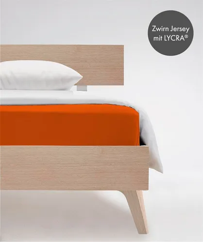 fleuresse Comfort Spannbettlaken 140-160 x 200-220 cm, terra - Hochwertiges Spannbettlaken aus 96 % Baumwolle, 4 % Elasthan mit Rundumgummizug, ideal für Matratzen bis 26 cm Höhe. Atmungsaktiv und hautsympathisch für erholsamen Schlaf.