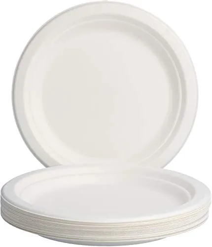 com-four® 16x Bagasse Teller - Stabile, robuste, kompostierbarer Kuchenteller aus Zuckerrohr - nachhaltiges Outdoorgeschirr für Grillpartys, Kindergeburtstage und Camping