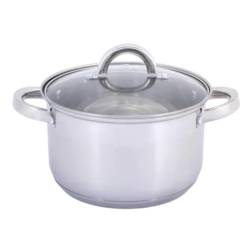 4BIG.fun Kochtopf 2,9 L Edelstahl mit Glasdeckel - Kochtöpfe aus hochwertigem Edelstahl mit praktischen Glasdeckel für energiesparendes Kochen und schnelle Garzeiten. Ideal für vielseitige Zubereitung in jeder Küche.