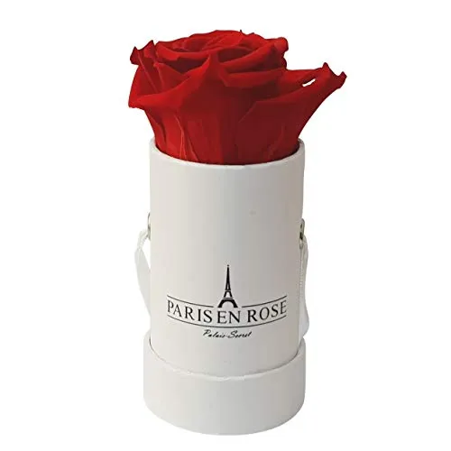 PARIS EN ROSE Rosenbox | mit Einer roten Infinity Rose Größe XL | konservierte ewige Rose | runde weiße Box mit Band | 3 Jahre haltbar