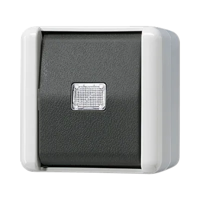 Jung 831W Taster, 1-polig Schließer, 10 A 250 V ~, IP 44, WG 800