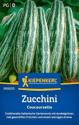 Kiepenkerl Zucchinisamen Coucourzelle 1009250 von Kiepenkerl