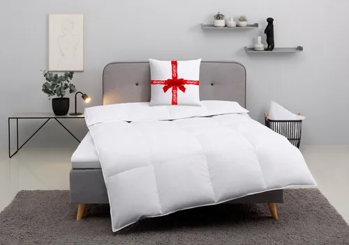 Daunenbettdecke OTTO HOME 