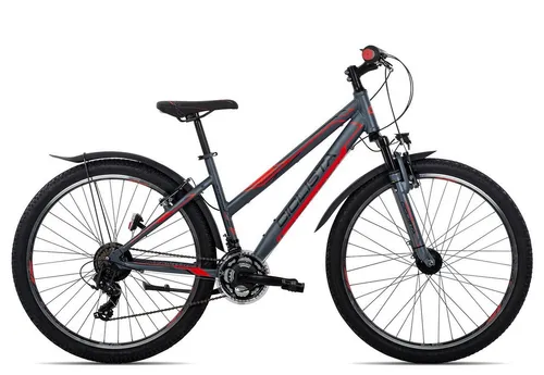 Mountainbikes bis 500 Euro von Ciclista