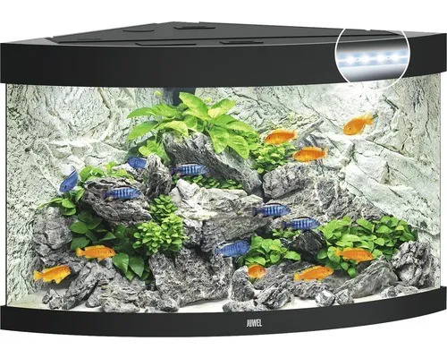 Juwel Aquarium-Set Trigon LED Schwarz 190 l in schwarz von JUWEL Aquarium