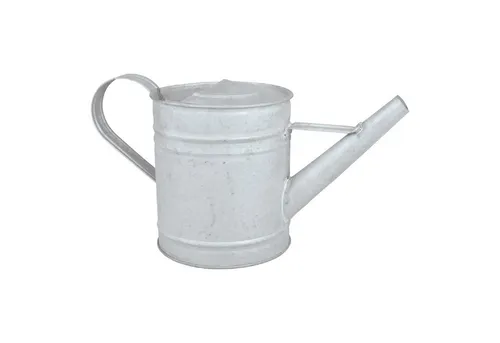 esschert design Gießkanne Altzink Gießkanne mit 0,75 Liter aus verzinktem Karbonstahl grau