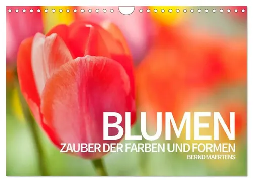 Bernd Maertens | BLUMEN Zauber der Farben und Formen (Wandkalender 2026 DIN...