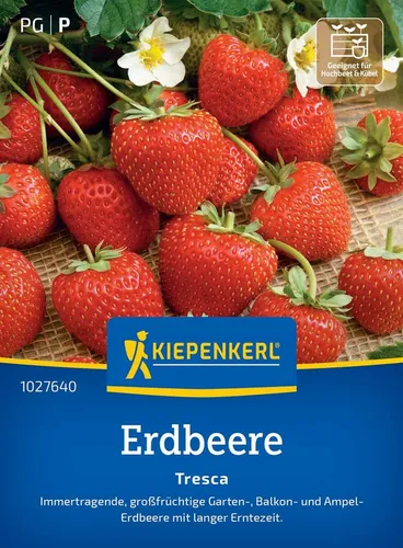 Pflanzen für Dich Gemüsesamen Erdbeersamen Tresca Fragaria ananassa 30 Pflanzen