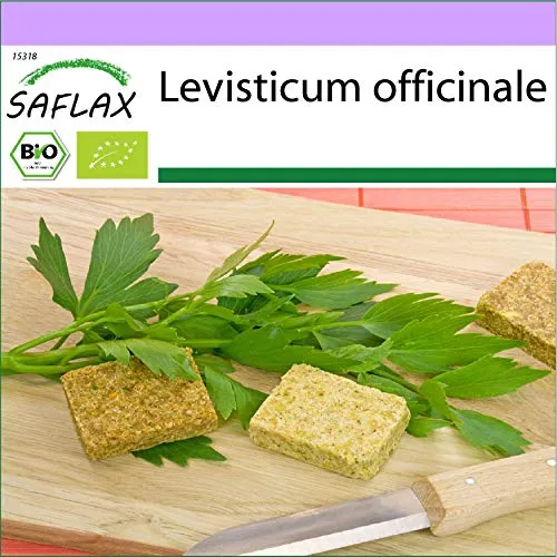 SAFLAX - BIO - Liebstöckel - 100 Samen - Levisticum officinale