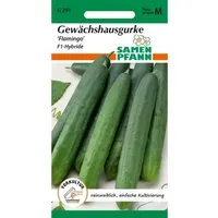 SAMEN PFANN Salatgurke Flamingo F1