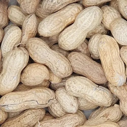 Erdnüsse mit Schale 1kg - Tierfutter Taube Vogel Nagetiere