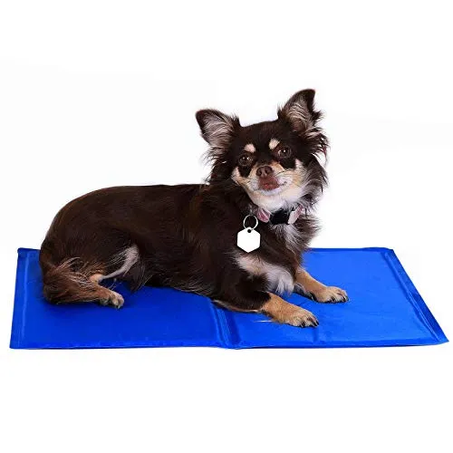 lionto Kühlmatte für Hunde & Katzen, selbstkühlende Haustiermatte sorgt für Erfrischung an warmen Tagen, 50x40 cm, Faltbare Kühldecke ohne Strom, Kühlung durch Körperkontakt, leichte Reinigung, blau